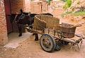Datong 7